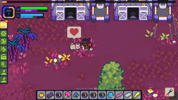 《新星群岛》攻略——上线时间