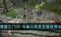 《博德之门3》攻略——鸟巢闪亮亮宝箱获得攻略