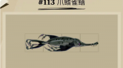 《渔帆暗涌》攻略——爪鳍雀鳝捕捉位置