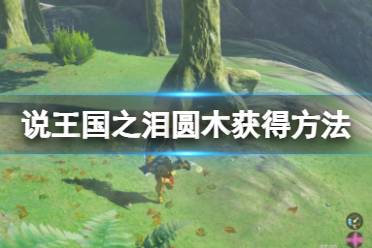 《塞尔达传说王国之泪》攻略——沃托里村重建计划圆木怎么获得
