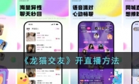 《龙猫交友》攻略——开直播方法