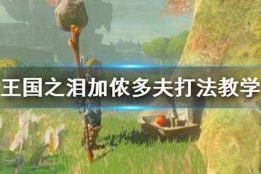 《塞尔达传说王国之泪》攻略——加侬多夫打法教学