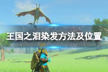 《塞尔达传说王国之泪》攻略——怎么染发